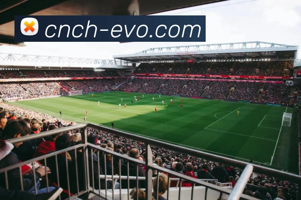 EVO真人官网平台生态图