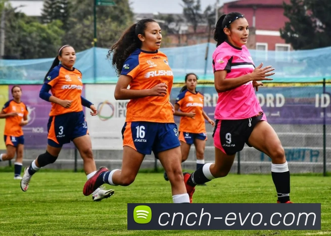 EVO真人官网全站App